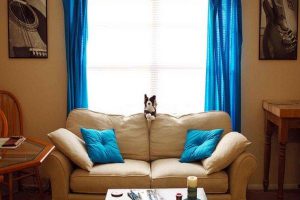 гостиная в бежевых тонах фото 26