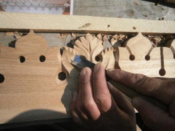 Форма листьев