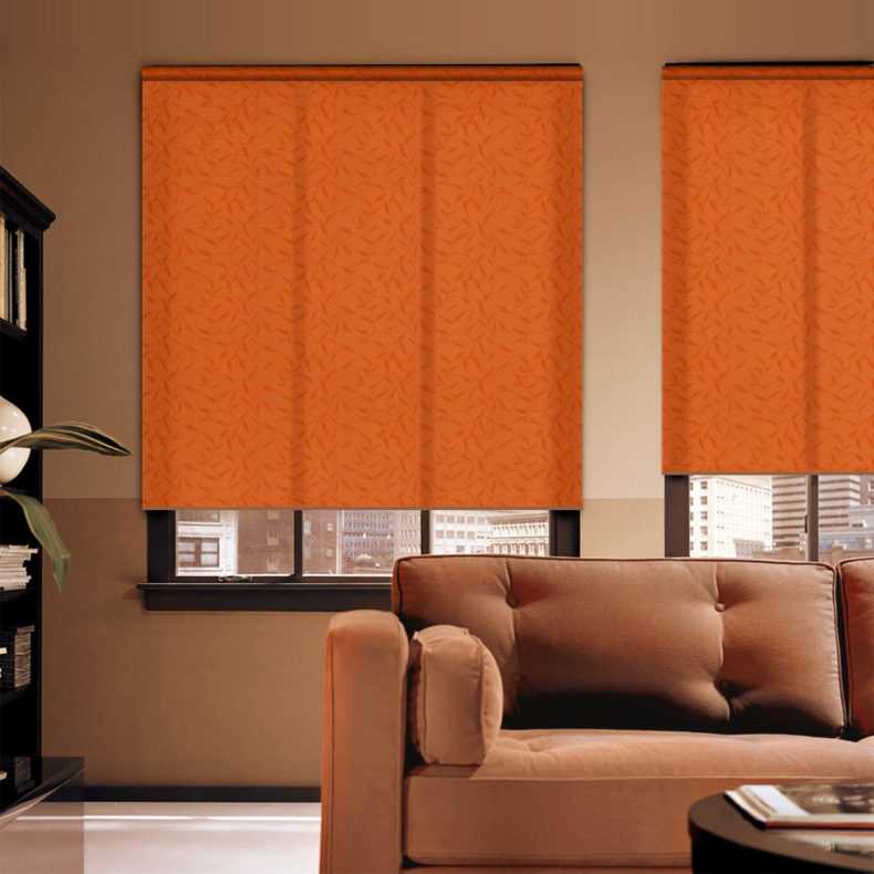 оранжевые истории-28.jpg