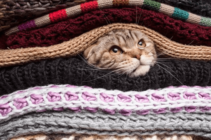 Ткань акрил: что за материал, плюсы и минусы акриловой нитки