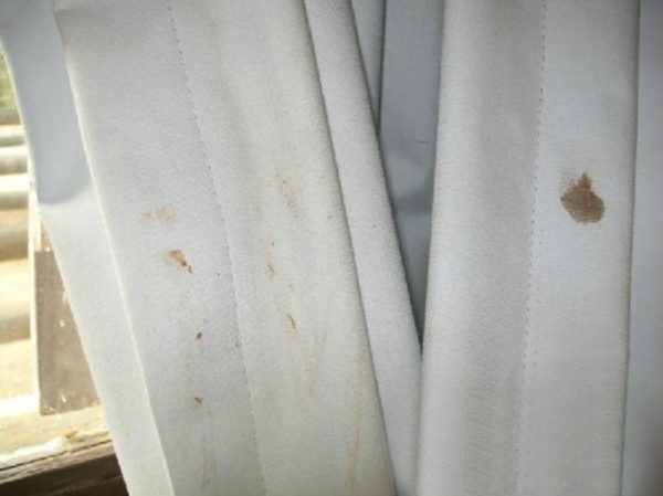 Плесень на тюле