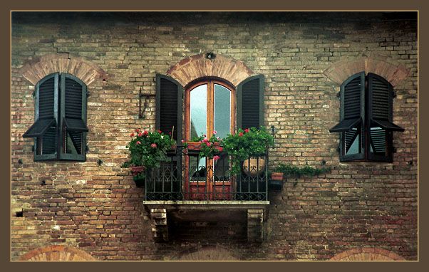 Какие бывают жалюзи на окна и что лучше выбрать