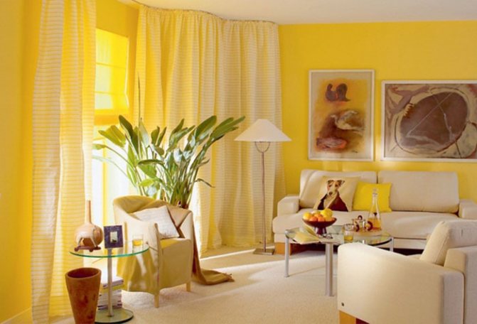 Шторы к желтым обоям: какие выбрать?