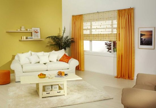 podbor-shtor-gostinoj_2