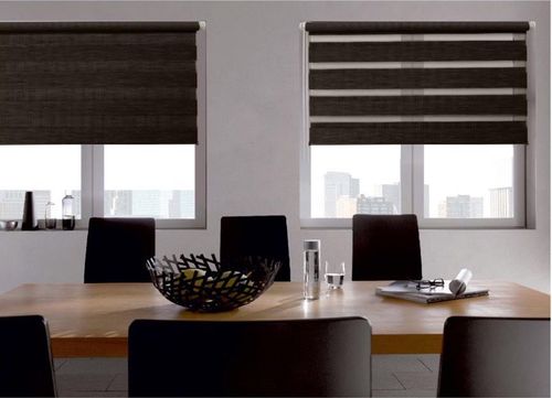 Рулонные шторы Канзас день-ночь с режимом жалюзи